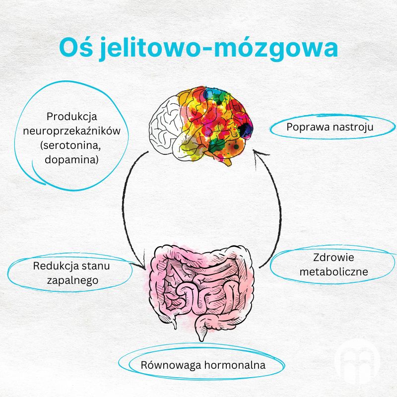 (Polština) - 2024-07-25T094605.887_1